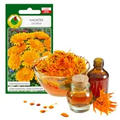 Nasiona i cebule - NAGIETEK LEKARSKI ZIOŁA NASIONA ZIÓŁ BEZ GMO - miniaturka - grafika 1