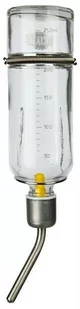 Trixie Poidło szklane dla gryzoni 250ml nr kat.60442 - Akcesoria dla gryzoni - miniaturka - grafika 1