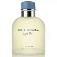 Wody i perfumy męskie - Dolce & Gabbana Light Blue Pour Homme woda toaletowa 125 ml - miniaturka - grafika 1