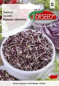 Nasiona i cebule - Kapusta czerwona, nasiona na kiełki 50g - Torseed - miniaturka - grafika 1
