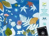 Zabawki kreatywne - Djeco Cianotipija - Cianotipijos popierius - miniaturka - grafika 1