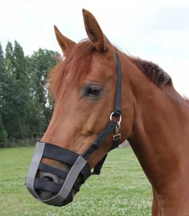 Waldhausen Kaganiec nylonowy - Akcesoria jeździeckie Waldhausen Kaganiec nylonowy - Akcesoria jeździeckie - miniaturka - grafika 1