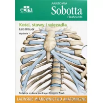 Edra Urban & Partner Anatomia Sobotta Flashcards Kości stawy i więzadła - Brauer Lars - Książki medyczne - miniaturka - grafika 1