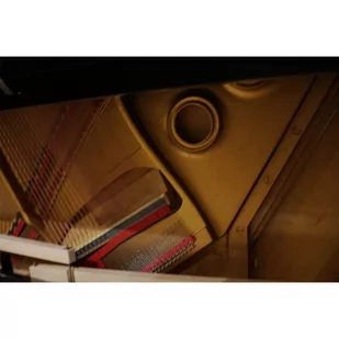 Steinway &amp; Sons V-125 Pianino klasyczne - Instrumenty klawiszowe - miniaturka - grafika 2