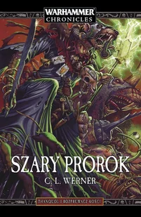 Szary Prorok - Fantasy - miniaturka - grafika 1