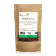 Owoce świeże i suszone - Planteon Miechunka 100g 2-0292-01-2 - miniaturka - grafika 1