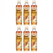 Soki i napoje niegazowane - Polska Róża Shot na odporność Owoc róży, kurkuma, imbir 5 porcji zgrzewka 6 x 250 ml - miniaturka - grafika 1