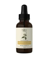 Przeziębienie i grypa - Cryptolepis nalewka 50 ml NANGA - miniaturka - grafika 1