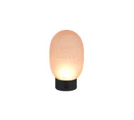 Lampy stojące - Trio FACETTE 564210113 lampa przenośna klosz szkło bursztynowe LED 1,5W 3000K DIM ładowanie USB-C wykończenie czarne - miniaturka - grafika 1