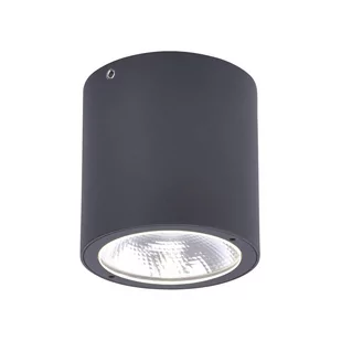 Oprawa natynkowa zewnętrzna spot LED 7W GEORG 9673-13 Paul Neuhaus - Lampy ogrodowe - miniaturka - grafika 1