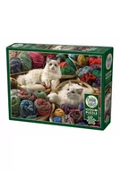 Puzzle - Puzzle 1000 Koty rasy Ragdoll - miniaturka - grafika 1