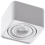 Lampy sufitowe - Azzardo PAOLA AZ4128 downlight natynkowy 1x16W/ES111/GU10 IP20 AZ4128 - miniaturka - grafika 1
