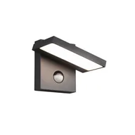 Lampy ogrodowe - Kinkiet zewnętrzny z czujnikiem ruchu LED 8W HORTON 226369142 Trio - miniaturka - grafika 1