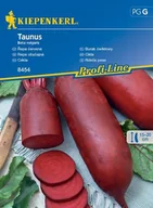 Nasiona i cebule - Burak Ćwikłowy Taunus – Kiepenkerl - miniaturka - grafika 1