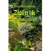 Ezoteryka - Armoryka Zielnik czarodziejski to jest zbiór przesądów o roślinach Józef Rostafiński - miniaturka - grafika 1