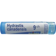 Homeopatia - Boiron Hydrastis canadensis, 9CH,gran,4g(MZ19185) 3071708 - miniaturka - grafika 1