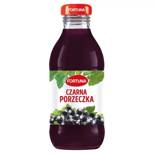 Fortuna Napój wieloowocowy czarna porzeczka 300 ml - Soki i napoje niegazowane - miniaturka - grafika 1