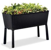 Donice - Keter Donica ogrodowa Easy Growing, 120 L, 229098 Benelux - miniaturka - grafika 1