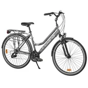 Rowery - Indiana Rower trekkingowy X-Road 1.1 D19 Szary - miniaturka - grafika 1