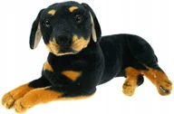Maskotki i pluszaki - Pies rottweiler 47cm Dubi Plusz - miniaturka - grafika 1