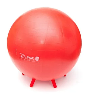 Gymnic PIŁKA DO SIEDZENIA SITnGYM średnica 55 cm 1602 - Piłki do ćwiczeń - miniaturka - grafika 1