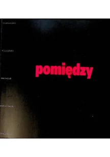 Pomiędzy estetyką a metafizyką - Książki o kulturze i sztuce - miniaturka - grafika 1