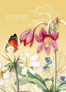 Fresh Notatnik ozdobny 145x197/64K kratka TW Motyl - Zeszyty szkolne - miniaturka - grafika 1