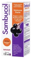 Przeziębienie i grypa - Sequoia Sambucol Immuno Forte, suplement diety, płyn, 120 ml Duży wybór produktów | Dostawa kurierem DHL za 10.90zł !!!| Szybka wysyłka do 2 dni roboczych! | 8669721 - miniaturka - grafika 1