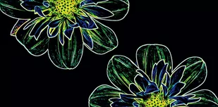 Opoczno Fluorescent Flower Dekor 29,7x60 Zielony Poler - Płytki ceramiczne - miniaturka - grafika 2