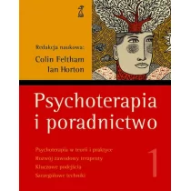 GWP Gdańskie Wydawnictwo Psychologiczne - Naukowe Psychoterapia i poradnictwo. Tom 1 - Colin Feltham,Ian Horton