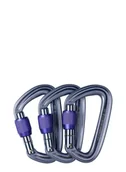 Sprzęt wspinaczkowy - Karabinki Black Diamond LiteForge Screwgate 3 Pack - gray - miniaturka - grafika 1