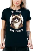 Koszulki i topy damskie - T-SHIRT DAMSKI Z NADRUKIEM PREZENT ŚMIESZNA Y2K KOT KOTY R-S A295 - miniaturka - grafika 1