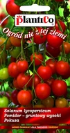 Nasiona i cebule - NASIONA Pomidor Gruntowy Wysoki Pokusa 0,5g PLANTICO 405257 - miniaturka - grafika 1