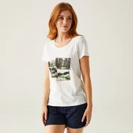 Koszulki i topy damskie - Regatta Damska koszulka Filandra VIII Biały, Cotton, Rozmiar: 52 - miniaturka - grafika 1