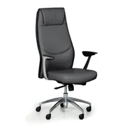 Fotele i krzesła biurowe - B2B Partner Krzesło biurowe FANCY, antracyt SL-1703A-2, 271-44 - miniaturka - grafika 1