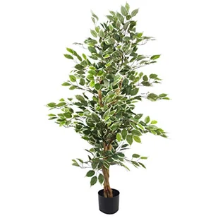 Liść, 130 cm, zielone drzewko fikusowe, biała krawędź, krzaczasta - Sztuczne drzewka - miniaturka - grafika 1