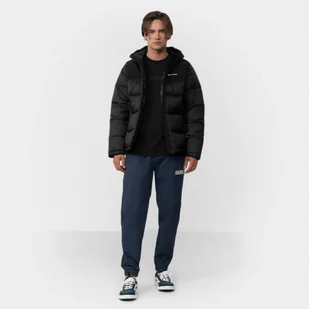 Męskie spodnie tkaninowe CHAMPION ROCHESTER Elastic Cuff Pants - Spodnie sportowe męskie - miniaturka - grafika 1