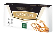 Suplementy naturalne - GINSENG Ginseng Poland Kordyceps Ekstrakt Komplex 10x10 - miniaturka - grafika 1