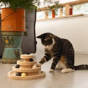 Legowiska dla kotów - Designed by Lotte Zabawka dla kota Mia, 26x14,5 cm, drewniana - miniaturka - grafika 1