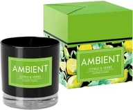 Świece - Bispol Ambient świeca zapachowa Citrus & Herbs - miniaturka - grafika 1