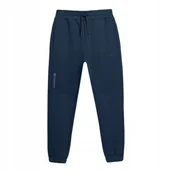 Spodnie męskie - 4F Spodnie Męskie Dresowe Ttrom137 S - miniaturka - grafika 1