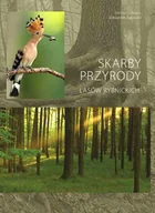 Książki regionalne - Skarby przyrody lasów rybnickich - miniaturka - grafika 1