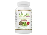 Suplementy naturalne - Progress Labs Progress Labs Amlan Forte (Agrest Indyjski) 4000 mg - 120 kapsułek - miniaturka - grafika 1