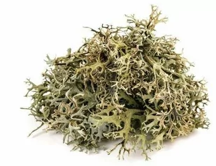 EQUIHERBS Porost islandzki (płucnica islandzka) 1 kg - Akcesoria jeździeckie - miniaturka - grafika 1