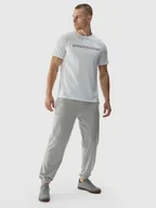 Spodnie sportowe męskie - 4F Spodnie dresowe joggery męskie - szare 3XL - miniaturka - grafika 1