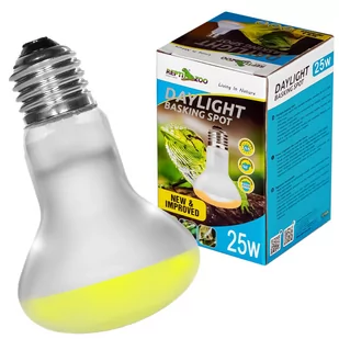 Repti-Zoo Daylight Basking Spot 25W - Żarówka Grzewcza Punktowa - Akcesoria do terrarium - miniaturka - grafika 1