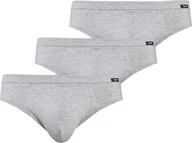 Majtki męskie - Teyli Wielopak slipów męskich Toni szary XXL Szary - miniaturka - grafika 1