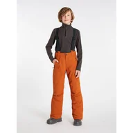 Spodnie narciarskie - Spodnie narciarskie, snowboardowe dziecięce Protest SPIKET JR snowpants - miniaturka - grafika 1