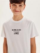 Koszulki dla chłopców - Sinsay - Koszulka z nadrukiem - biały - miniaturka - grafika 1