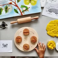 Zabawki kreatywne - Drewniane stemple Cykl rozwoju motyla z podstawą - miniaturka - grafika 1